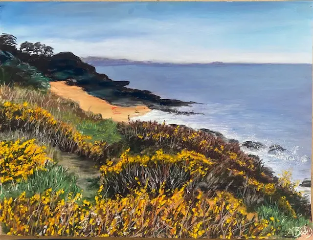 110 Ajoncs en fleurs