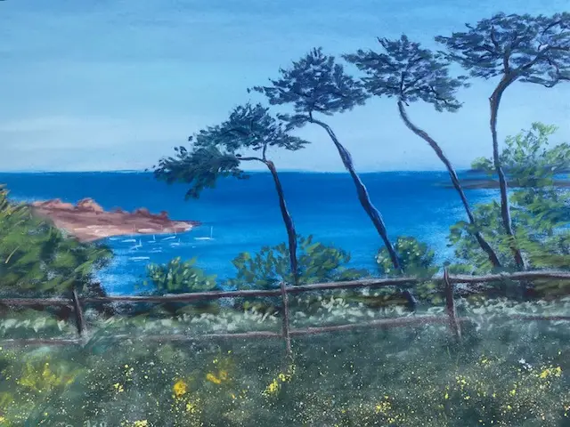 139 Les pins cap de la Chèvre