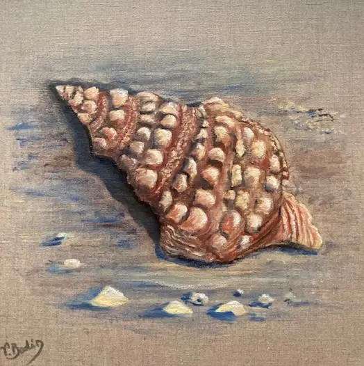 178 Triton des mers Copie