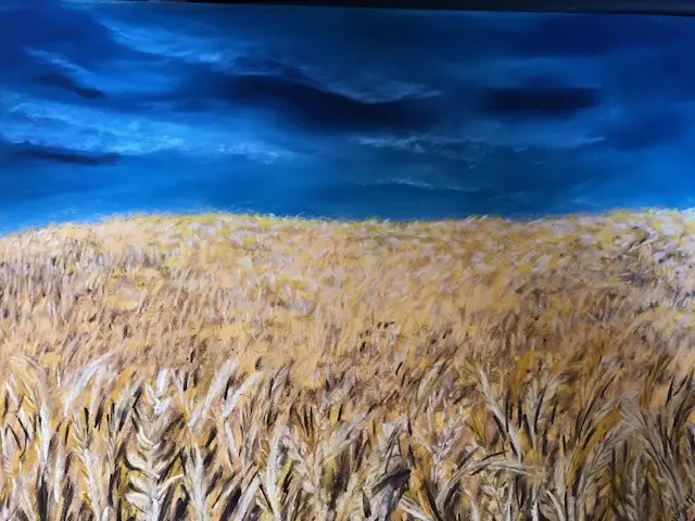 20 Champ de blé quelque part en Ukraine