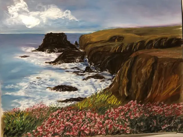 22 Les armeria maritima