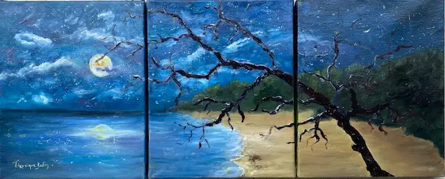 71 Sous une pluie d'étoiles