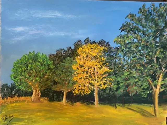 96 L'automne s'invite au Bois Joli