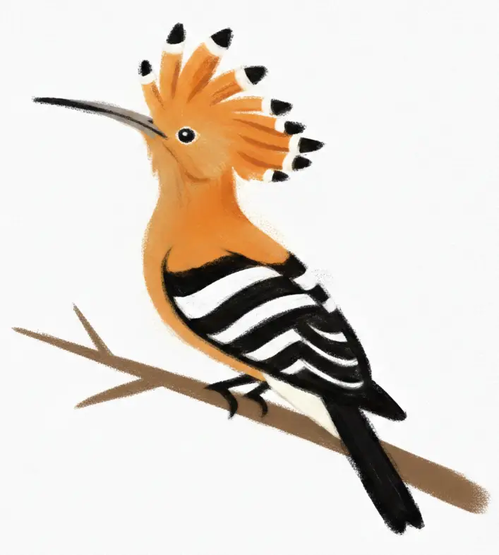 Logo véroniquebodin.com