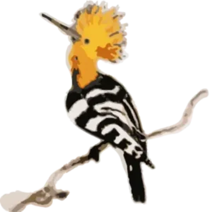 Cropped huppette oiseau fond transp 720.webp