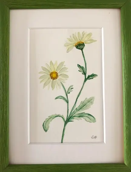 Marguerites